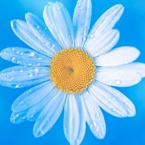 Meet your Posher, Kristin